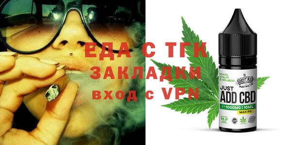 индика Богородицк