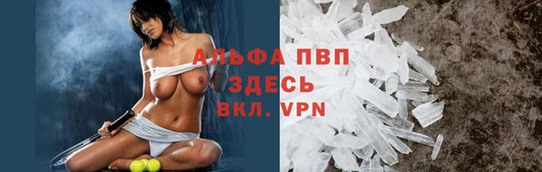 индика Богородицк