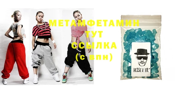 индика Богородицк