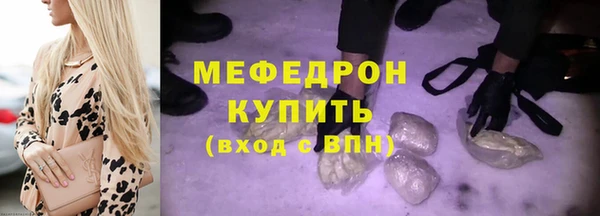 индика Богородицк
