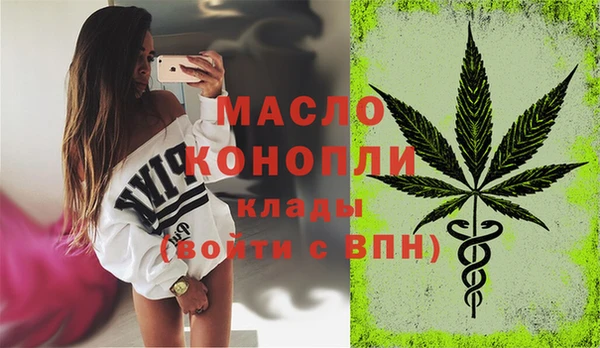 индика Богородицк