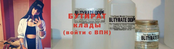 индика Богородицк