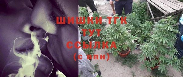 индика Богородицк