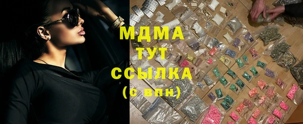 индика Богородицк