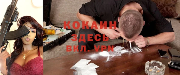 индика Богородицк