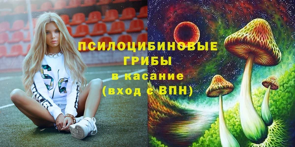 индика Богородицк
