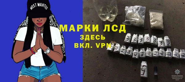 индика Богородицк