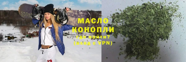 индика Богородицк